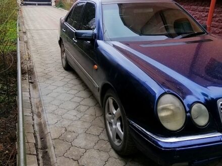 Мерседес Е-Класс 1998 в Ровно на Automoto.ua Синий Мерседес Е-Класс, объемом двигателя 3.2 л и пробегом 350 тыс. км за 3100 $, фото 1 на Automoto.ua