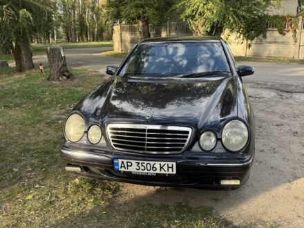 Мерседес Е-Класс 1999 в Запорожье на Automoto.ua Синий Мерседес Е-Класс, объемом двигателя 2.4 л и пробегом 313 тыс. км за 3900 $, фото 1 на Automoto.ua