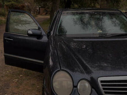 Мерседес Е-Клас 2000 у Миколаєві на Automoto.ua Синій Мерседес Е-Клас, об'ємом двигуна 3.2 л та пробігом 400 тис. км за 2600 $, фото 1 на Automoto.ua