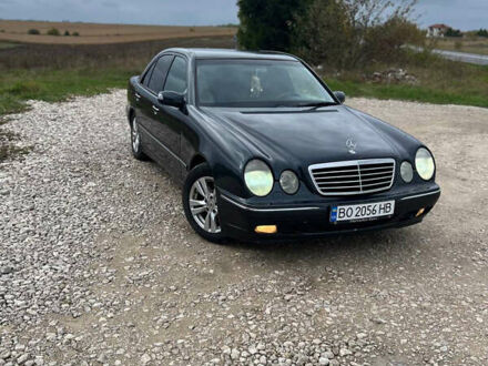 Мерседес Е-Класс 2001 в Тернополе на Automoto.ua Синий Мерседес Е-Класс, объемом двигателя 3.2 л и пробегом 380 тыс. км за 5300 $, фото 1 на Automoto.ua