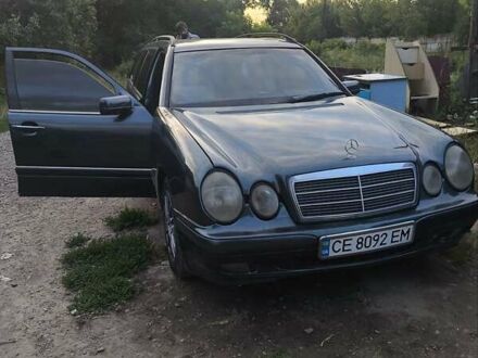 Мерседес Е-Класс 1998 в Черновцах на Automoto.ua Зеленый Мерседес Е-Класс, объемом двигателя 2.9 л и пробегом 486 тыс. км за 2999 $, фото 1 на Automoto.ua
