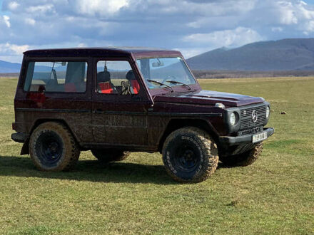 Мерседес Г-Класс 1988 в Виноградове на Automoto.ua Красный Мерседес Г-Класс, объемом двигателя 3 л и пробегом 54 тыс. км за 13900 $, фото 1 на Automoto.ua