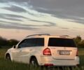 Білий Мерседес ГЛ-Клас, об'ємом двигуна 3 л та пробігом 230 тис. км за 18000 $, фото 13 на Automoto.ua
