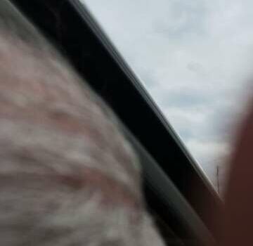 Белый Мерседес ГЛ-класс, объемом двигателя 3 л и пробегом 255 тыс. км за 24300 $, фото 20 на Automoto.ua