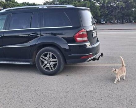 Мерседес ГЛ-класс, объемом двигателя 2.99 л и пробегом 365 тыс. км за 18300 $, фото 8 на Automoto.ua