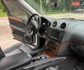 Серый Мерседес ГЛ-класс, объемом двигателя 4.66 л и пробегом 294 тыс. км за 10999 $, фото 31 на Automoto.ua