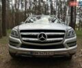 Серый Мерседес ГЛ-класс, объемом двигателя 3 л и пробегом 225 тыс. км за 21500 $, фото 2 на Automoto.ua