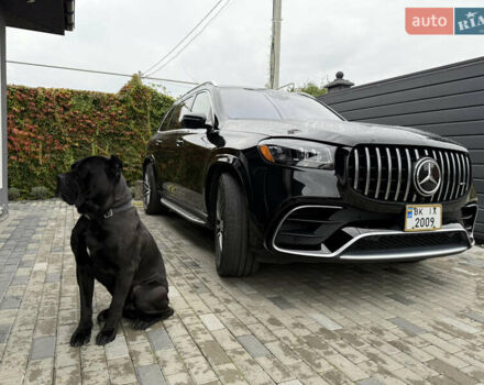 Мерседес ГЛС-Класс 2021 у Рівному на Automoto.ua Мерседес ГЛС-Класс, об'ємом двигуна 4 л та пробігом 85 тис. км за 120000 $, фото 61 на Automoto.ua