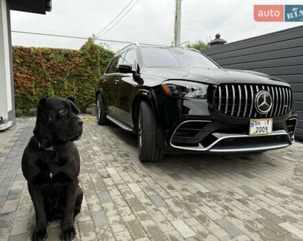 Мерседес ГЛС-Класс 2021 у Рівному на Automoto.ua Мерседес ГЛС-Класс, об'ємом двигуна 4 л та пробігом 85 тис. км за 120000 $, фото 62 на Automoto.ua