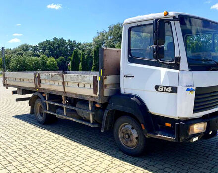 Мерседес ЛН, об'ємом двигуна 4.3 л та пробігом 580 тис. км за 8000 $, фото 2 на Automoto.ua