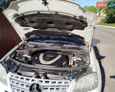 Мерседес М-Класс 2008 в Виннице на Automoto.ua Белый Мерседес М-Класс, объемом двигателя 3.5 л и пробегом 200 тыс. км за 13500 $, фото 9 на Automoto.ua