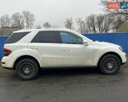 Мерседес М-Класс 2011 в Хороле на Automoto.ua Белый Мерседес М-Класс, объемом двигателя 3 л и пробегом 300 тыс. км за 13000 $, фото 17 на Automoto.ua