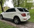 Білий Мерседес М-Клас, об'ємом двигуна 3.5 л та пробігом 165 тис. км за 14999 $, фото 9 на Automoto.ua