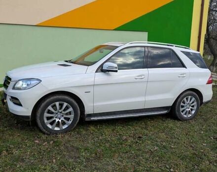 Белый Мерседес М-Класс, объемом двигателя 2.14 л и пробегом 200 тыс. км за 19800 $, фото 9 на Automoto.ua