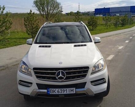 Белый Мерседес М-Класс, объемом двигателя 3 л и пробегом 240 тыс. км за 19200 $, фото 15 на Automoto.ua