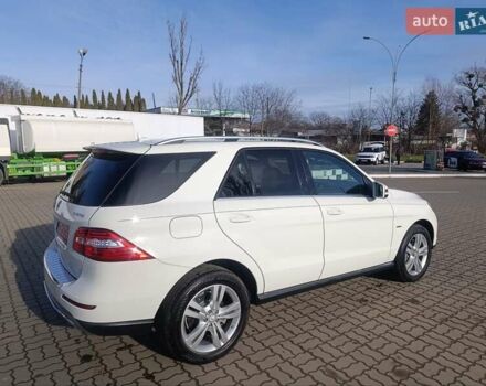 Белый Мерседес М-Класс, объемом двигателя 2.99 л и пробегом 198 тыс. км за 21800 $, фото 20 на Automoto.ua