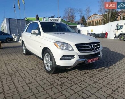 Белый Мерседес М-Класс, объемом двигателя 2.99 л и пробегом 198 тыс. км за 21800 $, фото 17 на Automoto.ua