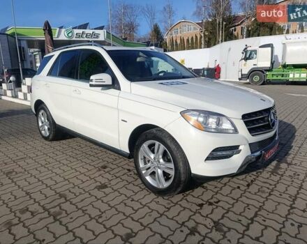 Белый Мерседес М-Класс, объемом двигателя 2.99 л и пробегом 198 тыс. км за 21800 $, фото 18 на Automoto.ua