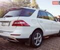 Мерседес М-Класс 2012 в Киеве на Automoto.ua Белый Мерседес М-Класс, объемом двигателя 2.14 л и пробегом 140 тыс. км за 24900 $, фото 13 на Automoto.ua