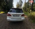 Белый Мерседес М-Класс, объемом двигателя 2.14 л и пробегом 259 тыс. км за 19700 $, фото 9 на Automoto.ua
