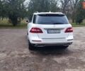 Белый Мерседес М-Класс, объемом двигателя 3 л и пробегом 228 тыс. км за 23000 $, фото 14 на Automoto.ua