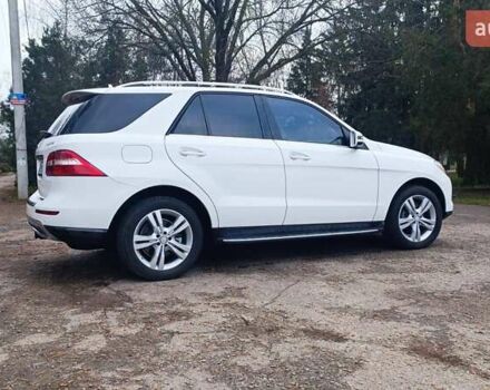 Белый Мерседес М-Класс, объемом двигателя 3 л и пробегом 228 тыс. км за 23000 $, фото 18 на Automoto.ua