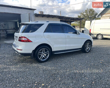 Белый Мерседес М-Класс, объемом двигателя 2.99 л и пробегом 248 тыс. км за 24500 $, фото 10 на Automoto.ua