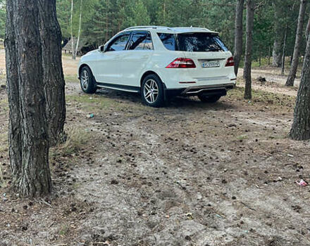 Белый Мерседес М-Класс, объемом двигателя 2.99 л и пробегом 248 тыс. км за 24500 $, фото 19 на Automoto.ua