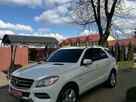 Мерседес М-Класс 2011 в Виноградове на Automoto.ua Белый Мерседес М-Класс, объемом двигателя 3 л и пробегом 270 тыс. км за 18200 $, фото 1 на Automoto.ua