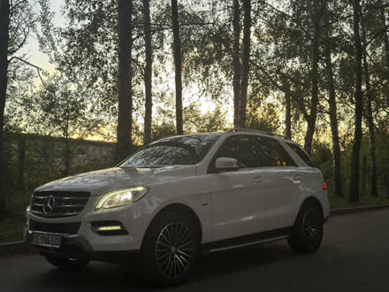 Белый Мерседес М-Класс, объемом двигателя 2.99 л и пробегом 222 тыс. км за 22700 $, фото 1 на Automoto.ua