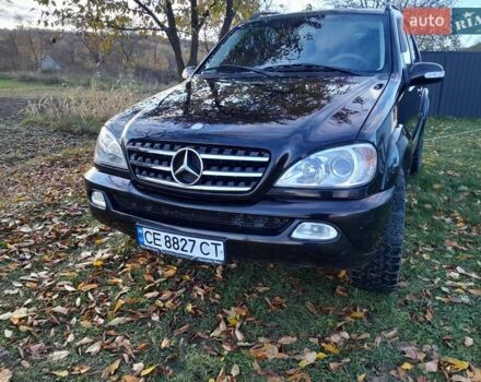 Черный Мерседес М-Класс, объемом двигателя 2.69 л и пробегом 345 тыс. км за 8200 $, фото 9 на Automoto.ua