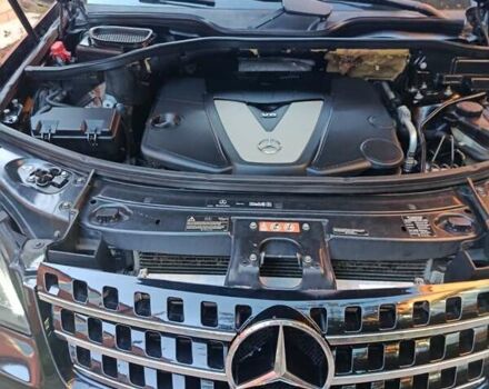 Черный Мерседес М-Класс, объемом двигателя 3 л и пробегом 232 тыс. км за 13800 $, фото 26 на Automoto.ua