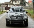 Черный Мерседес М-Класс, объемом двигателя 3.5 л и пробегом 174 тыс. км за 10950 $, фото 16 на Automoto.ua