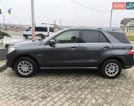 Черный Мерседес М-Класс, объемом двигателя 2.14 л и пробегом 245 тыс. км за 20000 $, фото 1 на Automoto.ua