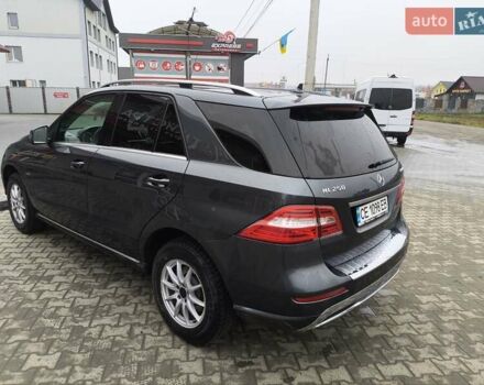 Черный Мерседес М-Класс, объемом двигателя 2.14 л и пробегом 245 тыс. км за 20000 $, фото 4 на Automoto.ua