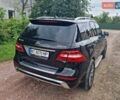 Черный Мерседес М-Класс, объемом двигателя 3 л и пробегом 215 тыс. км за 24900 $, фото 10 на Automoto.ua