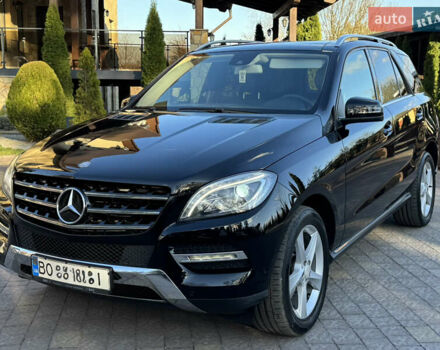 Черный Мерседес М-Класс, объемом двигателя 2.14 л и пробегом 160 тыс. км за 22500 $, фото 10 на Automoto.ua