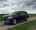 Черный Мерседес М-Класс, объемом двигателя 2.99 л и пробегом 250 тыс. км за 23700 $, фото 9 на Automoto.ua