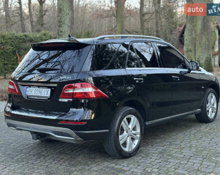 Черный Мерседес М-Класс, объемом двигателя 3 л и пробегом 274 тыс. км за 19700 $, фото 11 на Automoto.ua