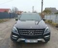 Черный Мерседес М-Класс, объемом двигателя 2.14 л и пробегом 172 тыс. км за 24000 $, фото 26 на Automoto.ua