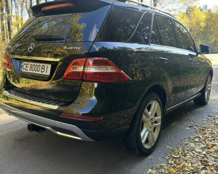 Мерседес М-Класс 2013 в Черновцах на Automoto.ua Черный Мерседес М-Класс, объемом двигателя 2.99 л и пробегом 297 тыс. км за 18500 $, фото 37 на Automoto.ua