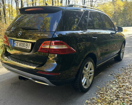 Мерседес М-Класс 2013 в Черновцах на Automoto.ua Черный Мерседес М-Класс, объемом двигателя 2.99 л и пробегом 297 тыс. км за 18500 $, фото 38 на Automoto.ua