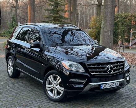 Черный Мерседес М-Класс, объемом двигателя 3 л и пробегом 274 тыс. км за 19700 $, фото 1 на Automoto.ua