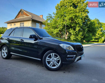 Мерседес М-Класс 2015 в Ужгороде на Automoto.ua Черный Мерседес М-Класс, объемом двигателя 2.14 л и пробегом 287 тыс. км за 20800 $, фото 1 на Automoto.ua
