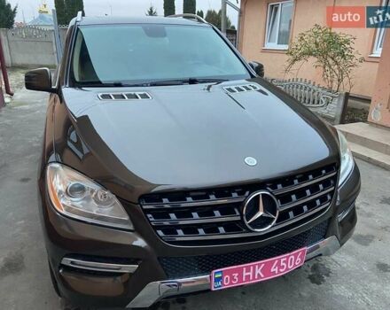 Коричневый Мерседес М-Класс, объемом двигателя 2.99 л и пробегом 253 тыс. км за 19700 $, фото 9 на Automoto.ua