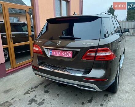 Коричневый Мерседес М-Класс, объемом двигателя 2.99 л и пробегом 253 тыс. км за 19700 $, фото 28 на Automoto.ua