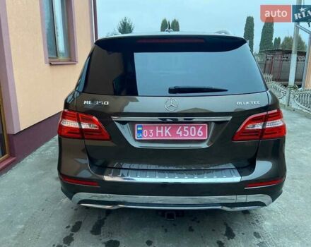 Коричневый Мерседес М-Класс, объемом двигателя 2.99 л и пробегом 253 тыс. км за 19700 $, фото 25 на Automoto.ua