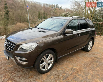 Коричневый Мерседес М-Класс, объемом двигателя 2.14 л и пробегом 69 тыс. км за 25500 $, фото 7 на Automoto.ua