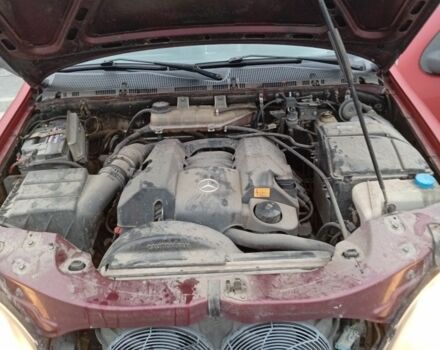 Красный Мерседес М-Класс, объемом двигателя 3.2 л и пробегом 264 тыс. км за 4850 $, фото 8 на Automoto.ua