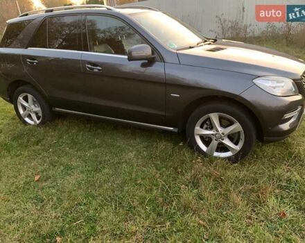 Серый Мерседес М-Класс, объемом двигателя 2.99 л и пробегом 209 тыс. км за 20700 $, фото 4 на Automoto.ua